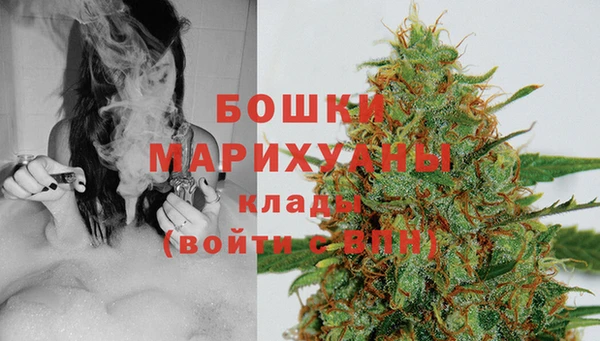 дживик Верея