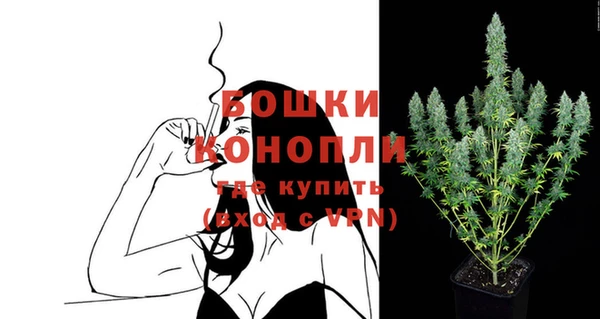мдпв Бугульма