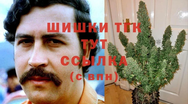 дживик Верея
