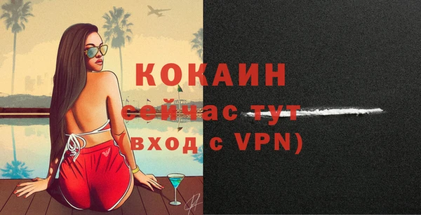 дживик Верея