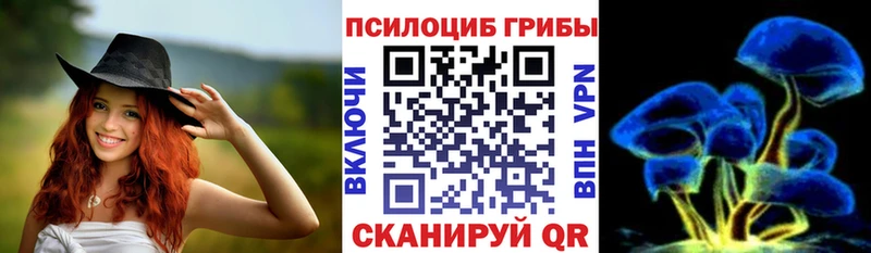Купить где  Любань  Псилоцибиновые грибы прущие грибы 